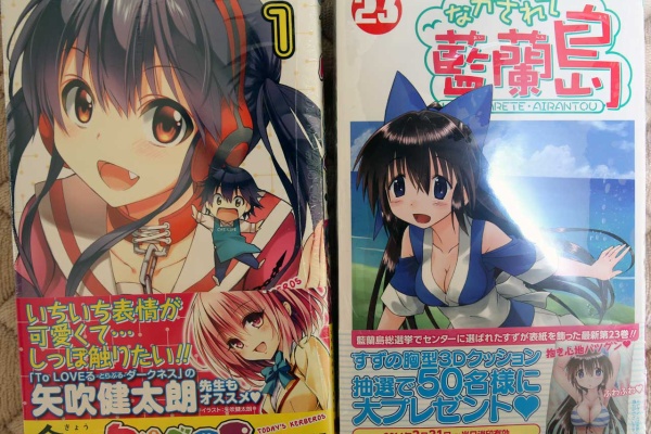 希少！】特典ページ！ ながされて藍蘭島 カレンダー 2008年 すず