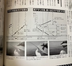 誘いダナと食いダナ