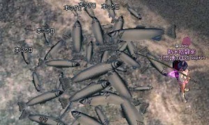 釣りなんて遅れてるね、これからは