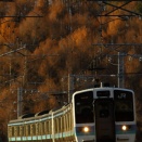 長野色のやり直し