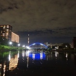 『ナイトレジャー』の画像