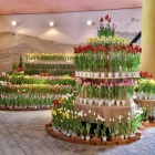 �פ�����ơ֥��������塼��å�🌷 �פȤ��䤹�ߥ��󥰡�Piano Man��