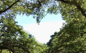 ハートの青空が描かれている場所