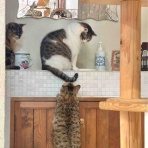 Jam Home エステート・Petite Jam(プチ ジャム) スタッフブログ