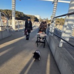 時々ブログ(ななとの新生活日記＆サラとの新生活日記＆ラフィとあみの帰ったらごはん）