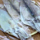 ��2021.04.22��Ĺ�긩����������Ϥ�ʪ�ʰ��봳���ˡ٤β���