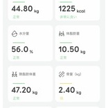 Anker Eufy Smart Scale P2 Pro