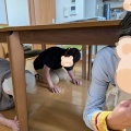 秋らしくなりました