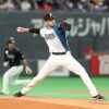 日ハム・バーヘイゲン(後半戦) 8登板42回 3勝2敗 防御率1.93