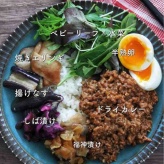 カレーって腸活になるんですって話と、腸活どんぶりの本を作っています。