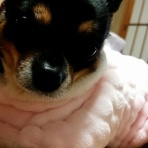 keiyou社員の『報告書には書けません！』