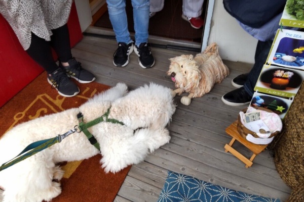 モフィー　マリオネット モップ犬マリオネット ♪ モフィーと仲間たち