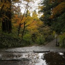 さんさくどうなのかな。