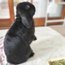 気持ち切り替えて♪