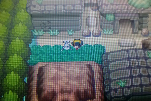 大人でもポケモン好き 乱数調整 Id調整