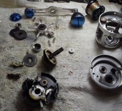 オシアカルカッタ１００HG！