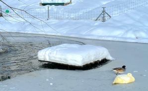 極寒のスイスで"暖房トラブル"