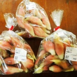 『国東の食環境(457)ミョウガ』の画像