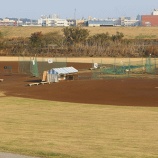 『水溜りは小さくなっていました』の画像