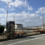 向島ポンポコ日記