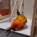 ハシゴがすぐに破損