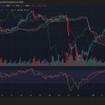 ケセラセラ　～中村毅の相場観～