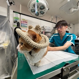 NPO法人ペット里親会