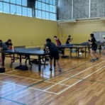 カメハウス 卓球家族