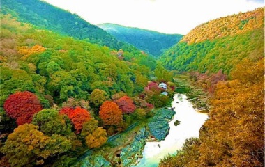 『『2025年秋・京都嵐山☆紅葉最前線🍁』』の画像