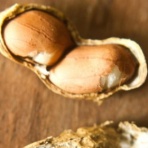 ZAPZAP！ 世界の面白いニュース