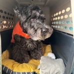 オーチャンネル☆