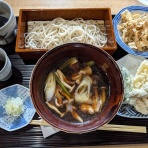 旅・食・酒・そして猫