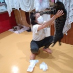 NPO犬猫みなしご救援隊・代表ブログ・みなしご庵へようこそ