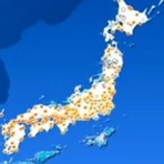 晴 天 と ら 日 和