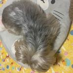 77歳　まず自分を褒めて　自分の心地よい方向へ