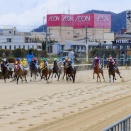 2月11日｜初めての競馬の姫路競馬