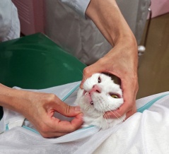 ノリちゃん　お前もか！