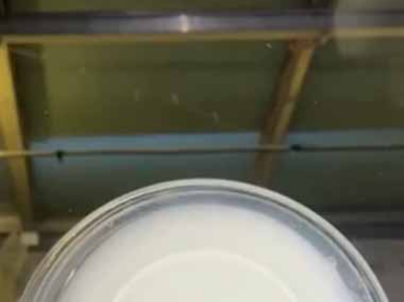 カップルが１つのドリンクをシェアしていた。すごいスピードだ♪ → 下から見たらこんな様子です…