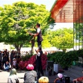 今回は、5/17(日)に「第59回〝福山ばら祭2026〟」行きのGONsanでした(^.-)☆(04)