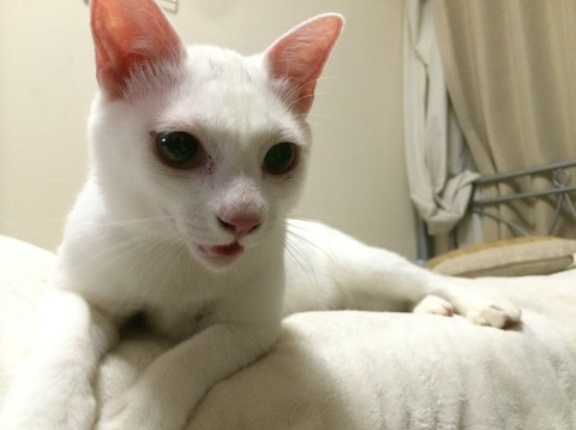 もっと撮っておけばよかった　20260303