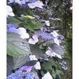 �ؤȤäƤ����λ��۲֡٤β���