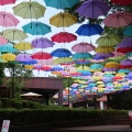 2025城町アンブレラスカイを撮ってきました☂️📸（館林市）