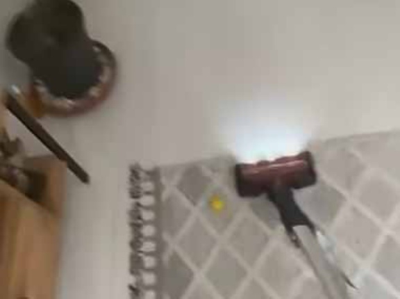 私が掃除機をかけていた。すっかり夢中だね → 掃除の時間はいつもこうなります…
