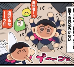 【許せない】2日後に死ぬ蚊 / 鳥さんのいる家庭での蚊対策