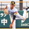 近藤の人的補償で木村大成穫れる？