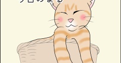 今日のまる