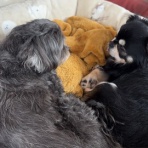 Fun☆Run 毛糸のマラソン日記◆