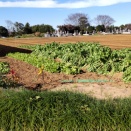 ギリギリセーフかな。