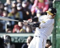 悲報　近本　来週の熱血タイガース党は差し替えか・・・？