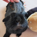 我が家のルールは…。